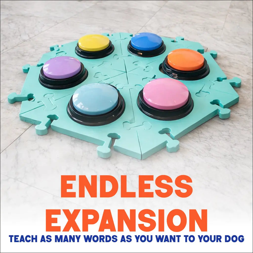 PawWords™ – Understand What Your Dog Wants