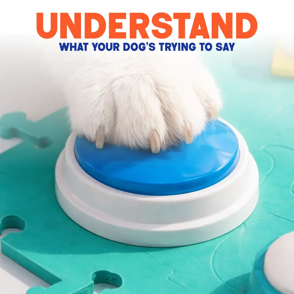 PawWords™ – Understand What Your Dog Wants