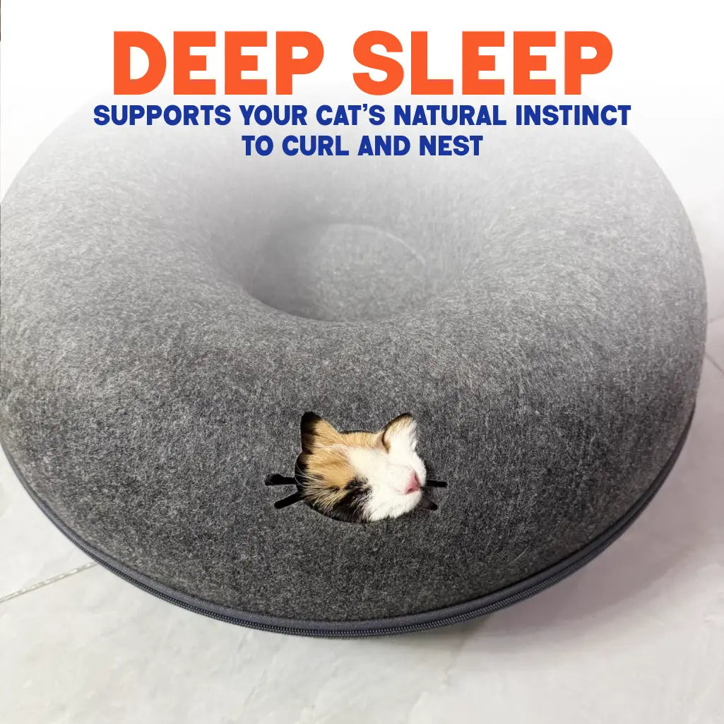 SafeDen™ – The "Do-Not-Disturb" Zone for Your Cat