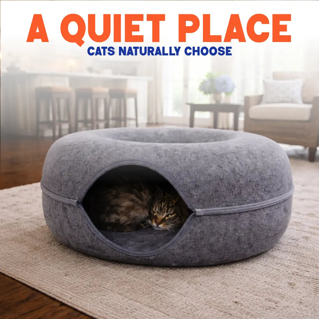 SafeDen™ – The "Do-Not-Disturb" Zone for Your Cat