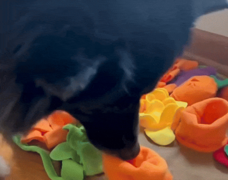 ForageFeeder™ – Transform Mealtime into a Brain-Boosting Adventure